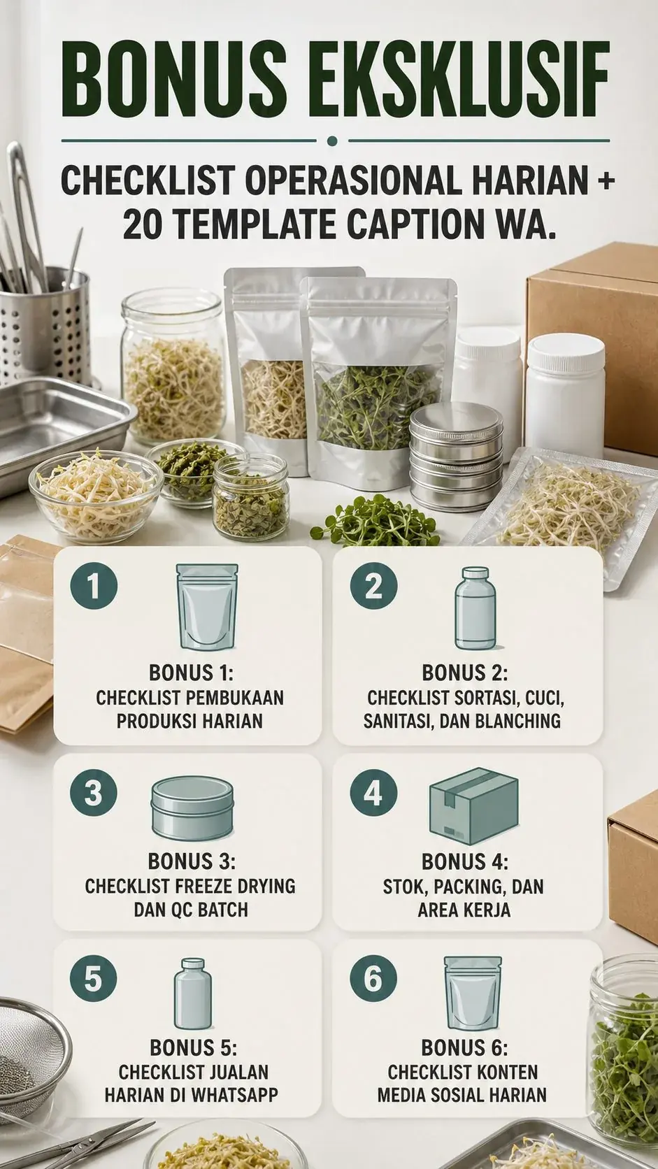 Bisnis Dry-Sprouts Export section 6