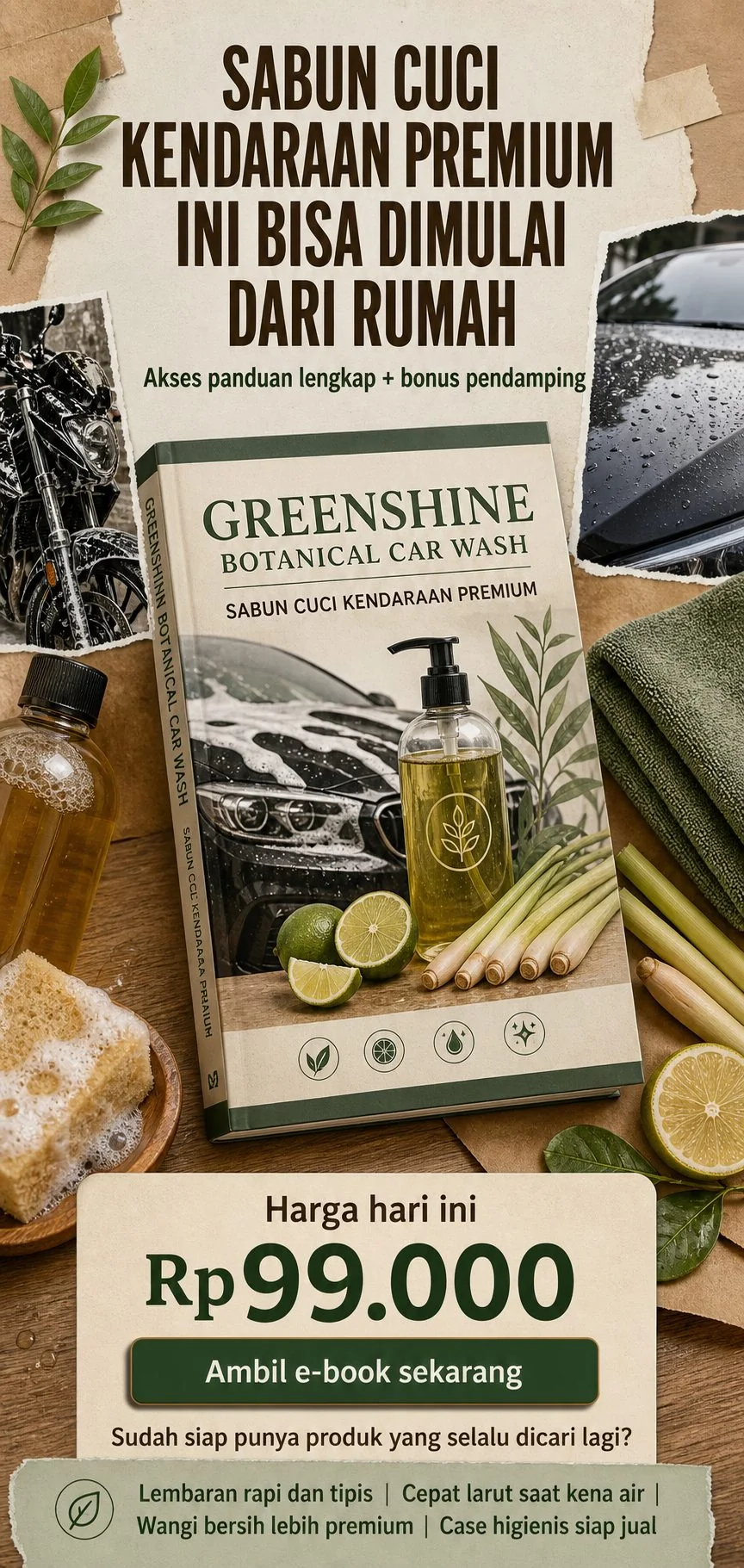 Greenshine Botanical Car Wash section 8