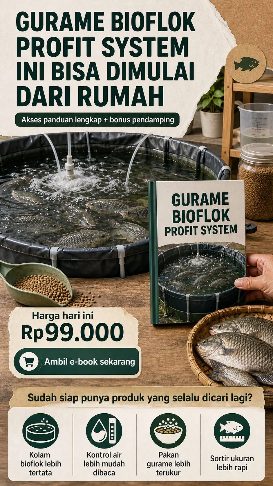 Gurame Bioflok Profit System section 8