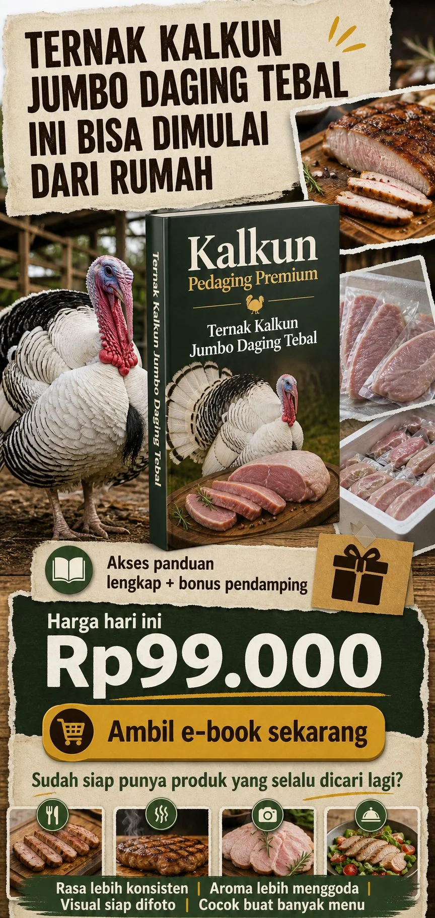Kalkun Pedaging Premium section 8